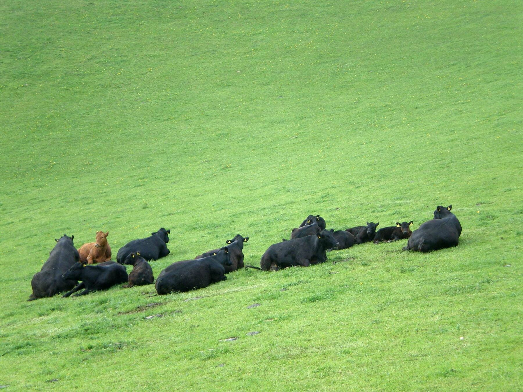 Urlaub auf dem Gebelehof