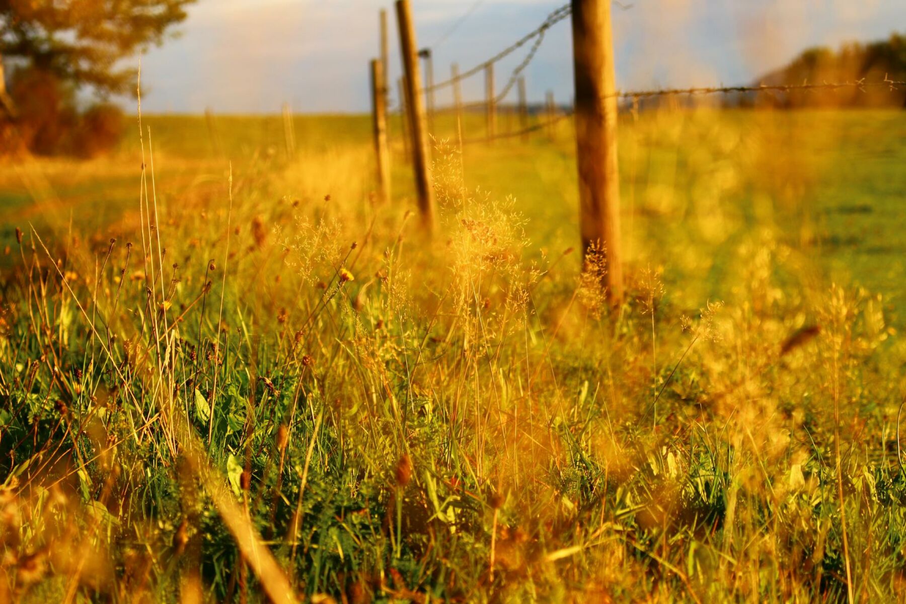 Urlaub auf dem Gebelehof