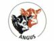 Angus
